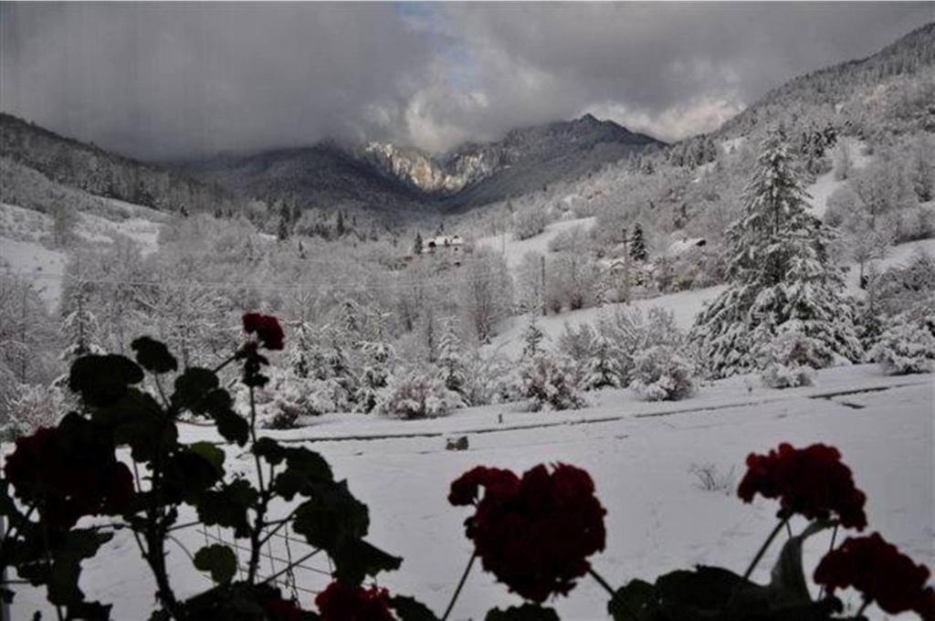 Pensiunea Aurora Izvorul Muntelui Bicaz Luaran gambar