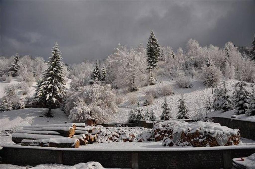 Pensiunea Aurora Izvorul Muntelui Bicaz Luaran gambar