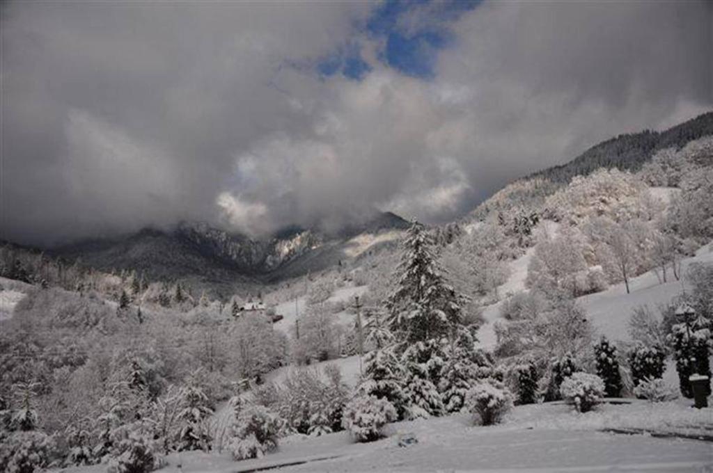 Pensiunea Aurora Izvorul Muntelui Bicaz Luaran gambar