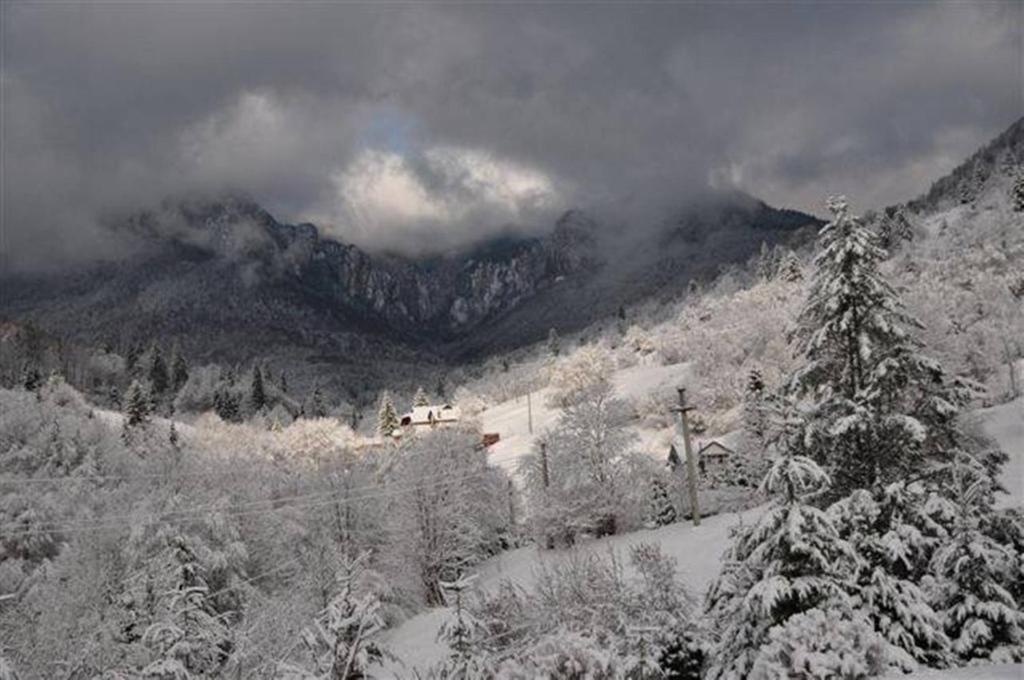 Pensiunea Aurora Izvorul Muntelui Bicaz Luaran gambar